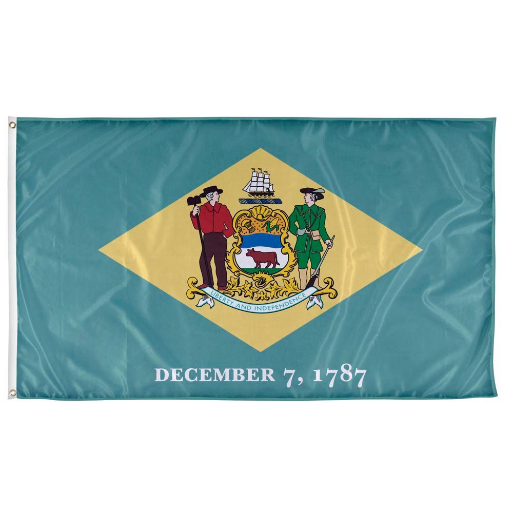 Delaware State Flag Deluxe Printing Small Purse Portable Receiving Bag