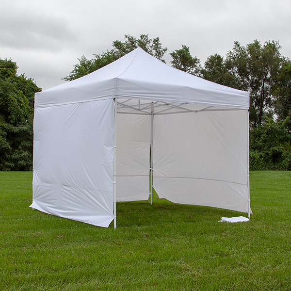 Side Walls 3 Black and Bonus Stake Kit Vispronet 10ft x 10ft Instant Canopy Tent Includes Steel Frame, Carrying Bag Water Resistant and UV-Protected 