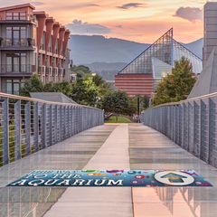 Street and Sidewalk Decals