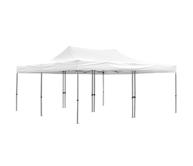 20x20 Deluxe Tent with white canopy