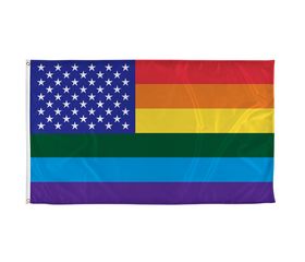 Rainbow American Flag