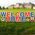 Welcome Home Military Yard Letters Set