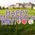 Happy Mother’s Day Yard Letters
