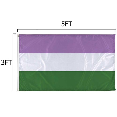 Genderqueer pride flag size