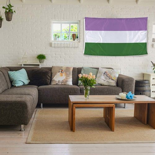 Genderqueer flag on wall
