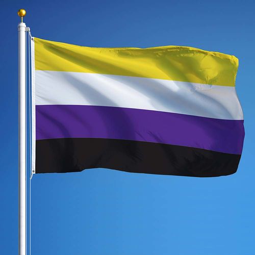 Non binary pride flag on flagpole