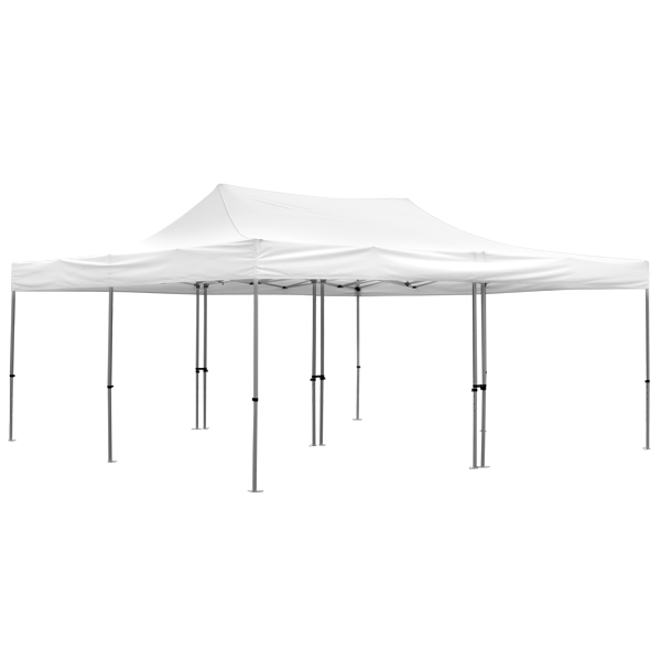 20x20 Deluxe Tent with white canopy