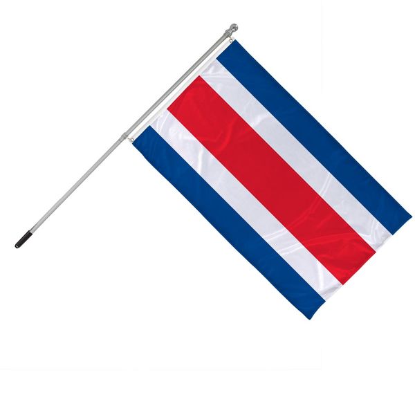 Flag on handheld pole