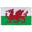 Wales Flag Wales Flag