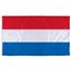 Netherlands Flag