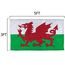 Wales flags dimensions Wales Flags Dimensions
