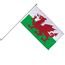Flag on our wall mounted pole Flag with wall-mounted flagpole