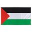 Palestine flag Palestine flag